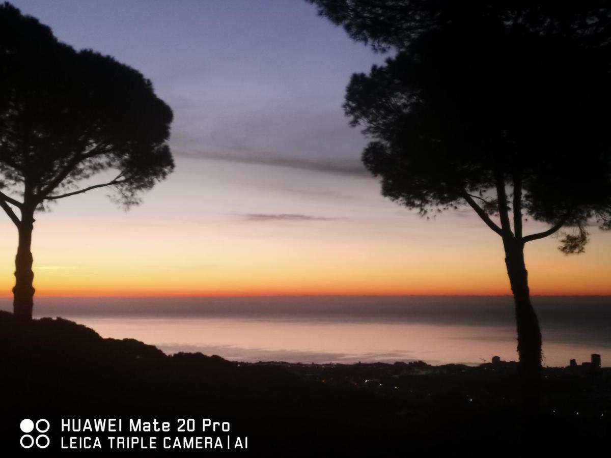 Villa Maresme & Villa Rosa Mataro Ngoại thất bức ảnh
